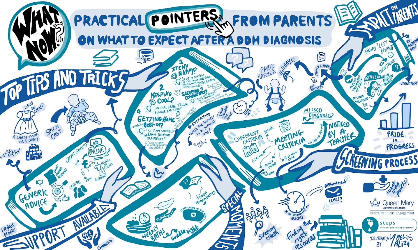 Infographic “What now? Practical pointers from parents on what to expect after a DDH diagnosis”, covering top tips and tricks, support available, special moments, the screening process and the impact on parents.